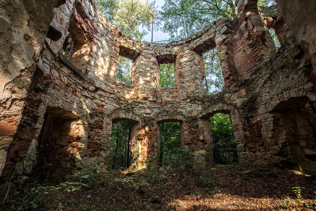 Ruiny Domu Szymona. Niwnice, Szymonki las na stokach Twardziela