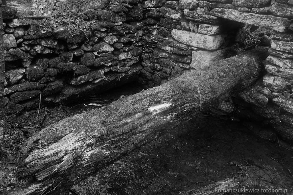 Ruina wodnego młyna - oś koła wodnego - Góry Bystrzyckie 