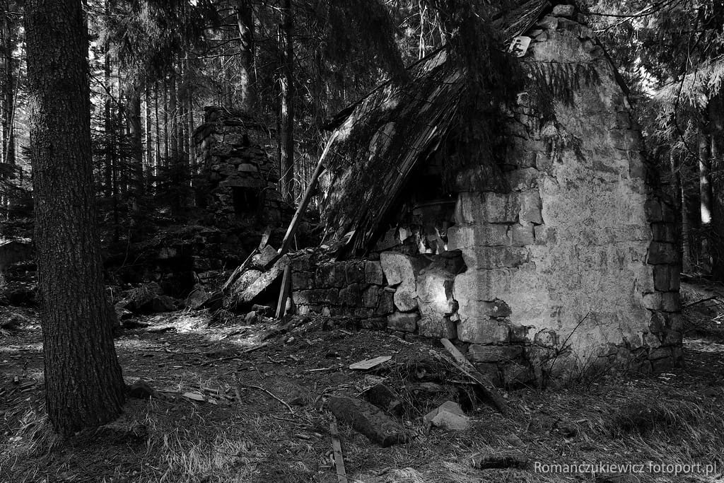 Ruina kaplicy kalwaryjskiej w lesie nad Wójtowicami 