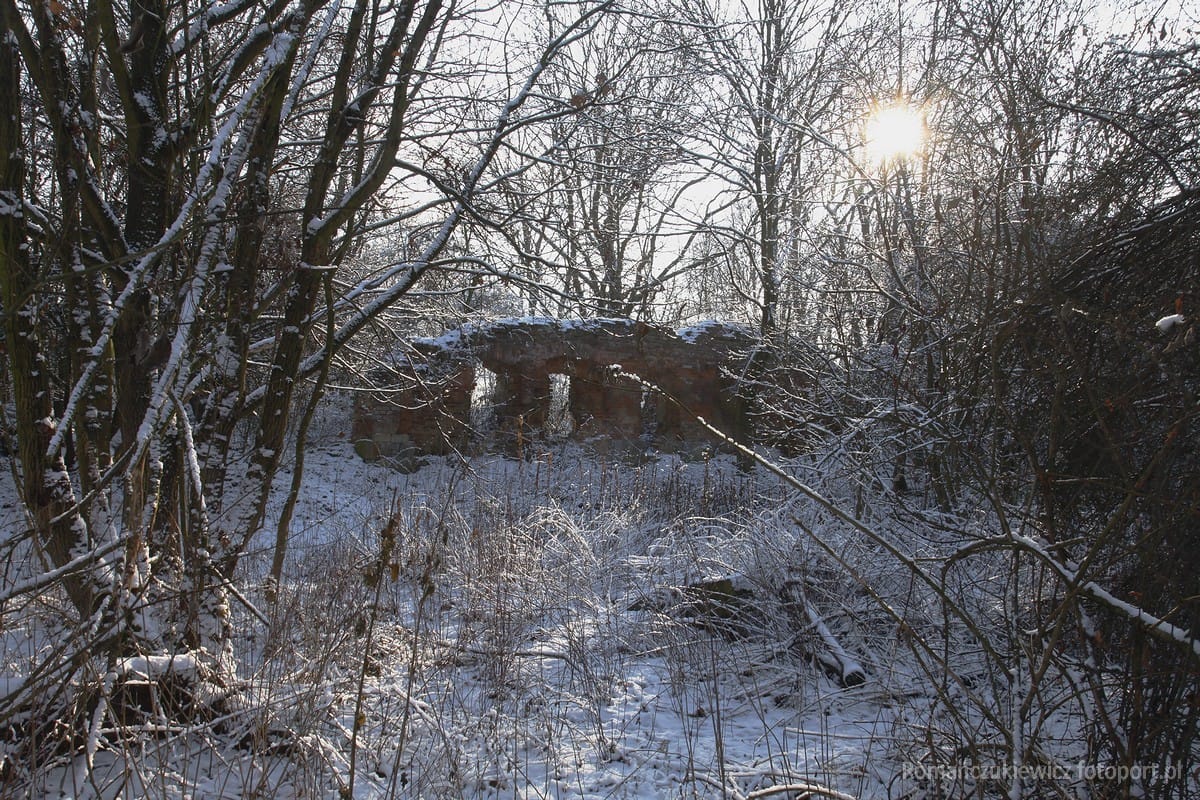 Ruiny. (Rzędów, Rzędowo) - umarła osada , dawny przysiółek Chwałowa