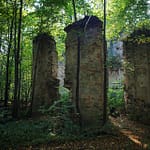 Ruiny kościoła klasztornego. Niwnice, Szymonki las na stokach Twardziela