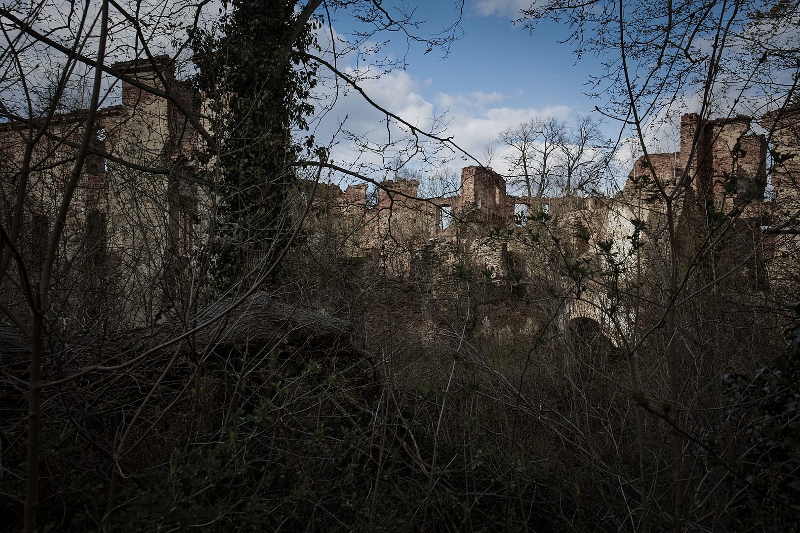 Ruiny zamku Owiesno                                                           fotoPort.pl