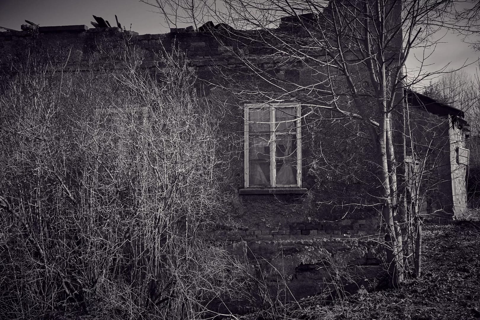 Opuszczony dom. Wzgórza Włodzickie.