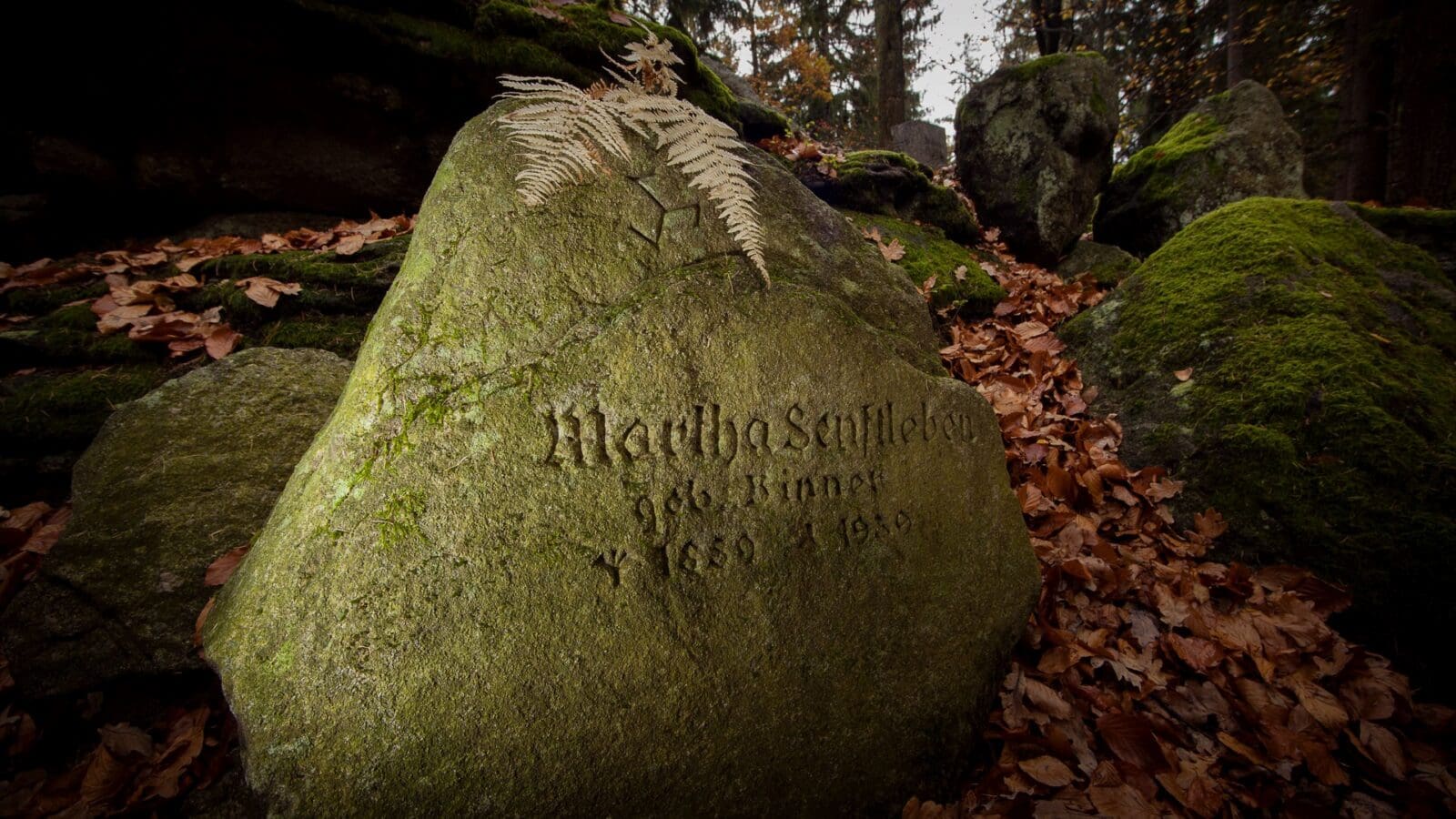  Cmentarzyk czcicieli światła w górskim lesie nieopodal Michałowic