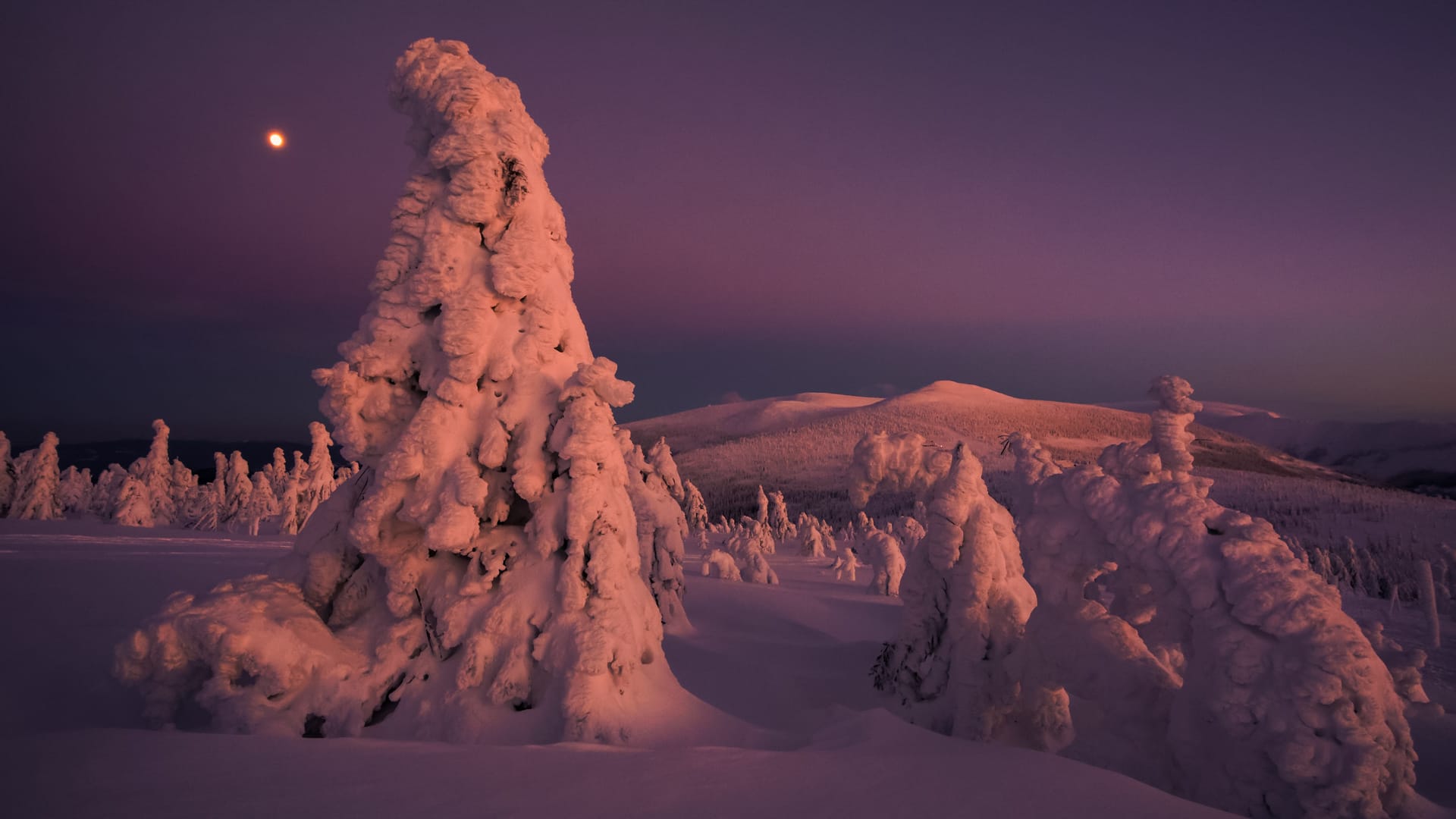 Cicha noc  Księżycowa zimowa noc nad przełęczą Karkonoską fot. Krzysztof Romańczukiewicz