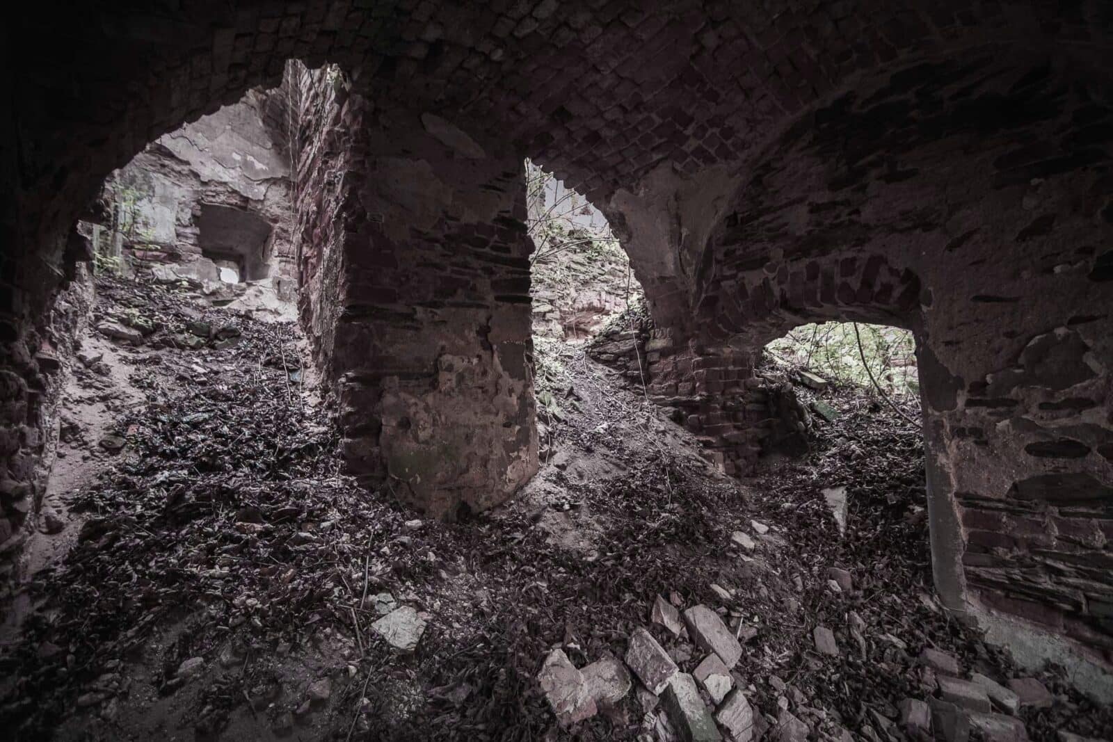 Ruiny. Pałac w Pielaszkowicach