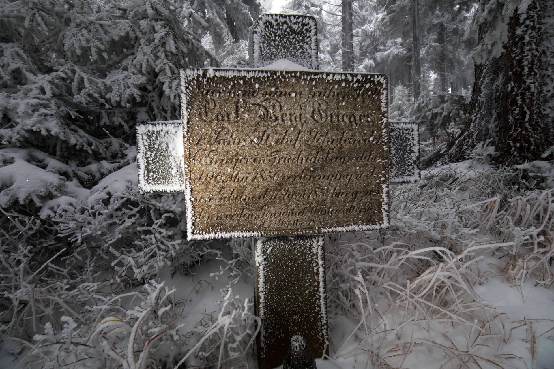 Krzyż na stokach Wielkiej Sowy - miejsce śmierci  Carla Benjamina Griegera  w 1856 roku.                                    fotoPort.pl  Krzysztof Romańczukiewicz