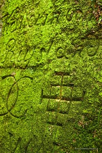 Ryty - napisy na skałach pod zamkiem Bolczów