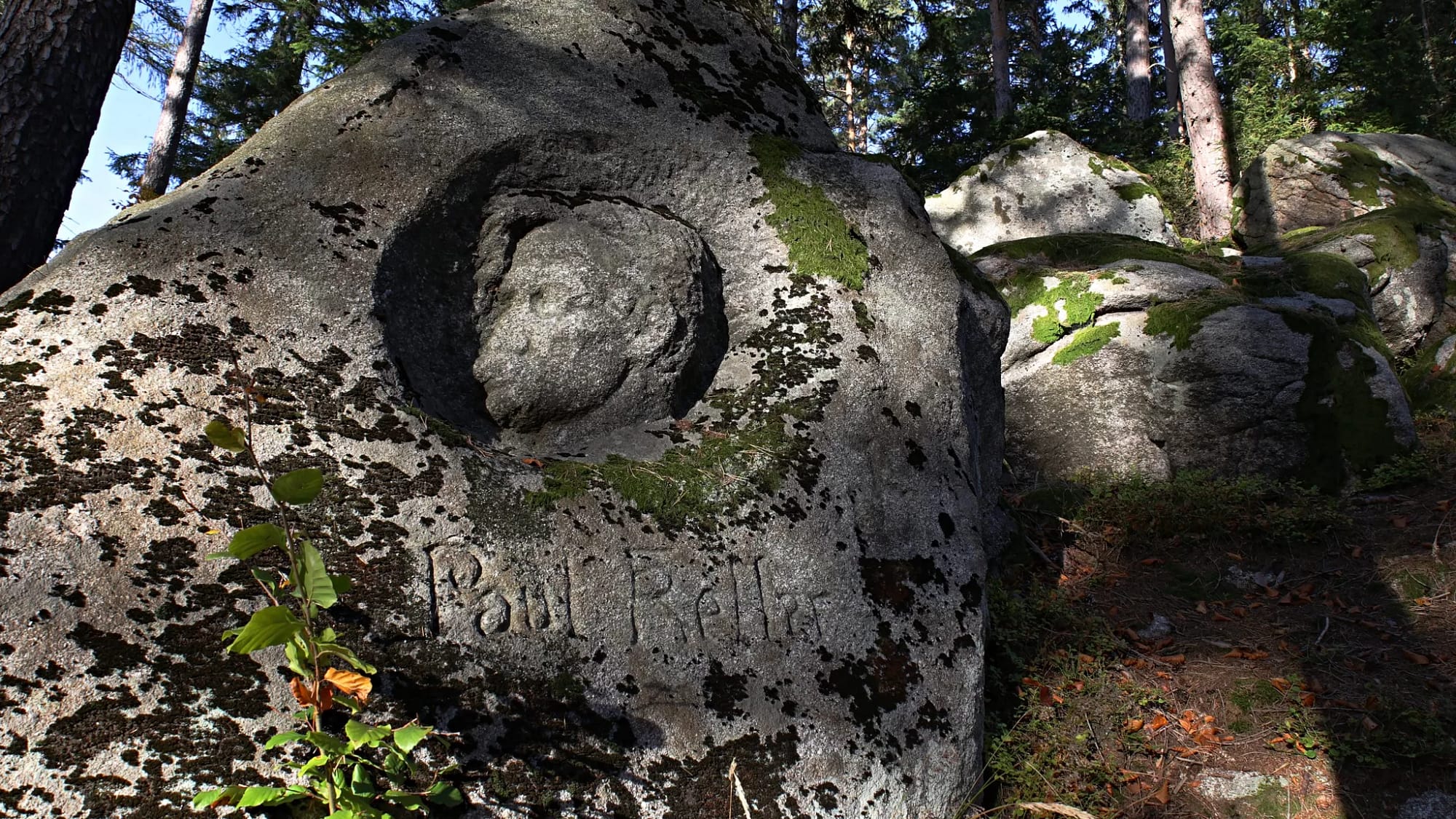 Paul Keller - zapomniana płaskorzeźba w karkonoskim lesie
