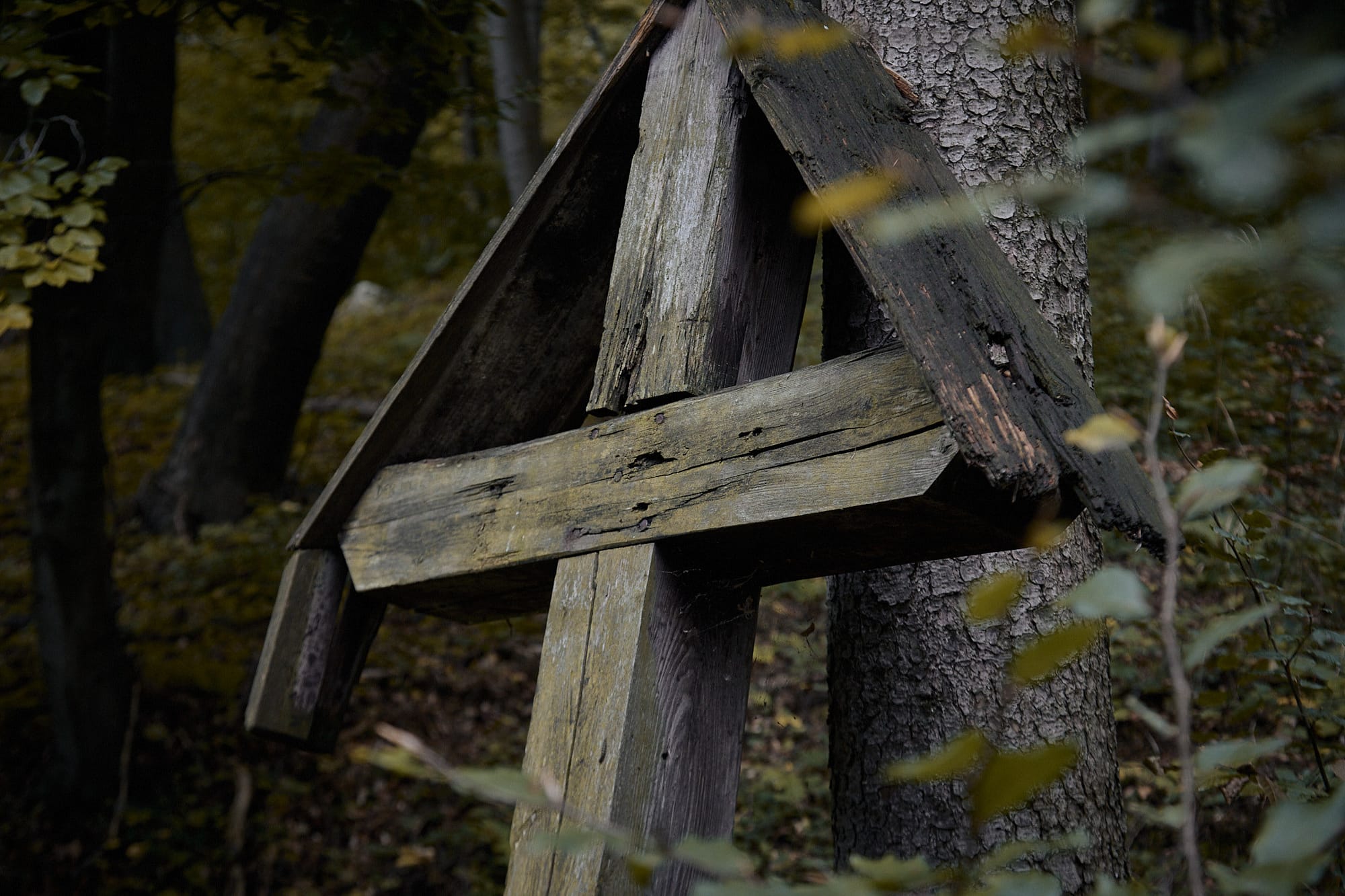 Krzyż „ Der tote Junge” - Zamordowany młodzieniec    Góry Sowie - okolice Lutomi Górnej             fotoPort.pl 