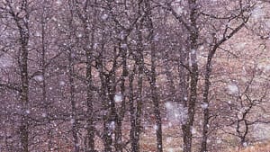 Ostatnia śnieżyca       fot.Krzysztof Romańczukiewicz
