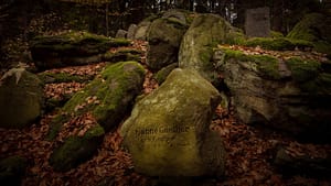 Cmentarzyk czcicieli światła w góskim lesie koło Michałowic