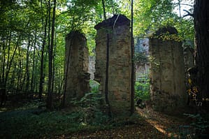 Ruiny kościoła klasztornego. Niwnice, Szymonki las na stokach Twardziela