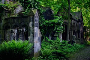 Stary Cmentarz Żydowski we Wrocławiu