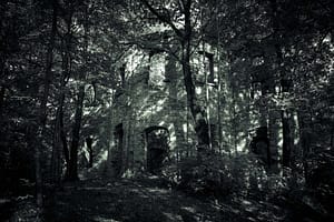 Ruiny Domu Szymona. Niwnice, Szymonki las na stokach Twardziela