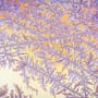 Zimowe impresje - ICM - fotografie malowane długim czasem naświetlania i poruszeniem